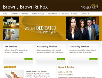 Echo website template preview for accounting firms