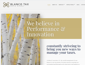 Blanco website template preview for accounting firms
