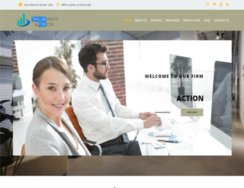 Odessa website template preview for accounting firms